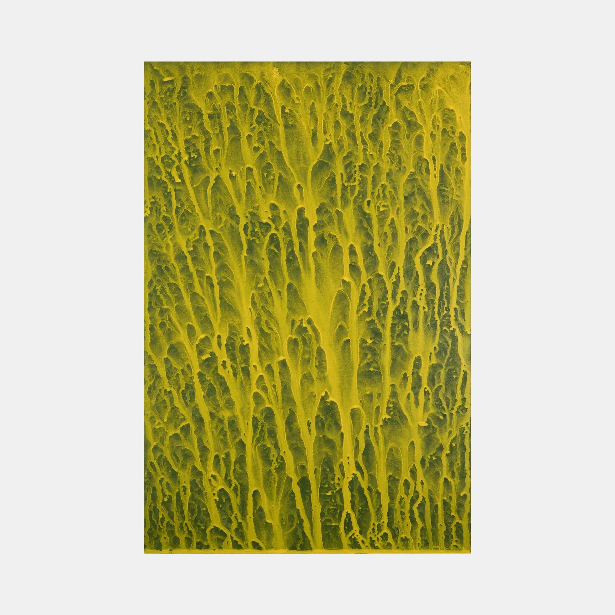 Biophilia 35