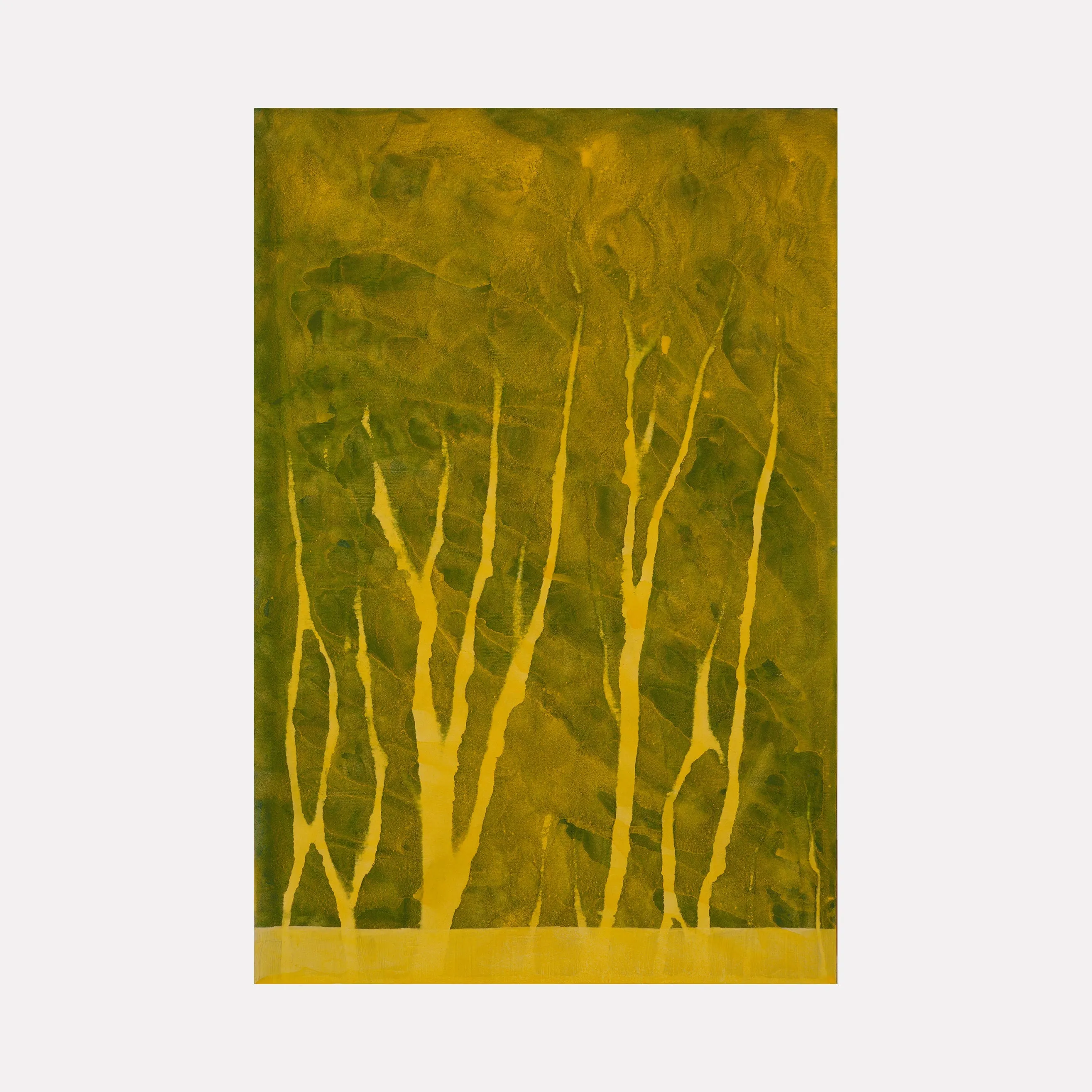 Biophilia 36