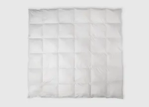 denali arctic duvet insert 900 fill power