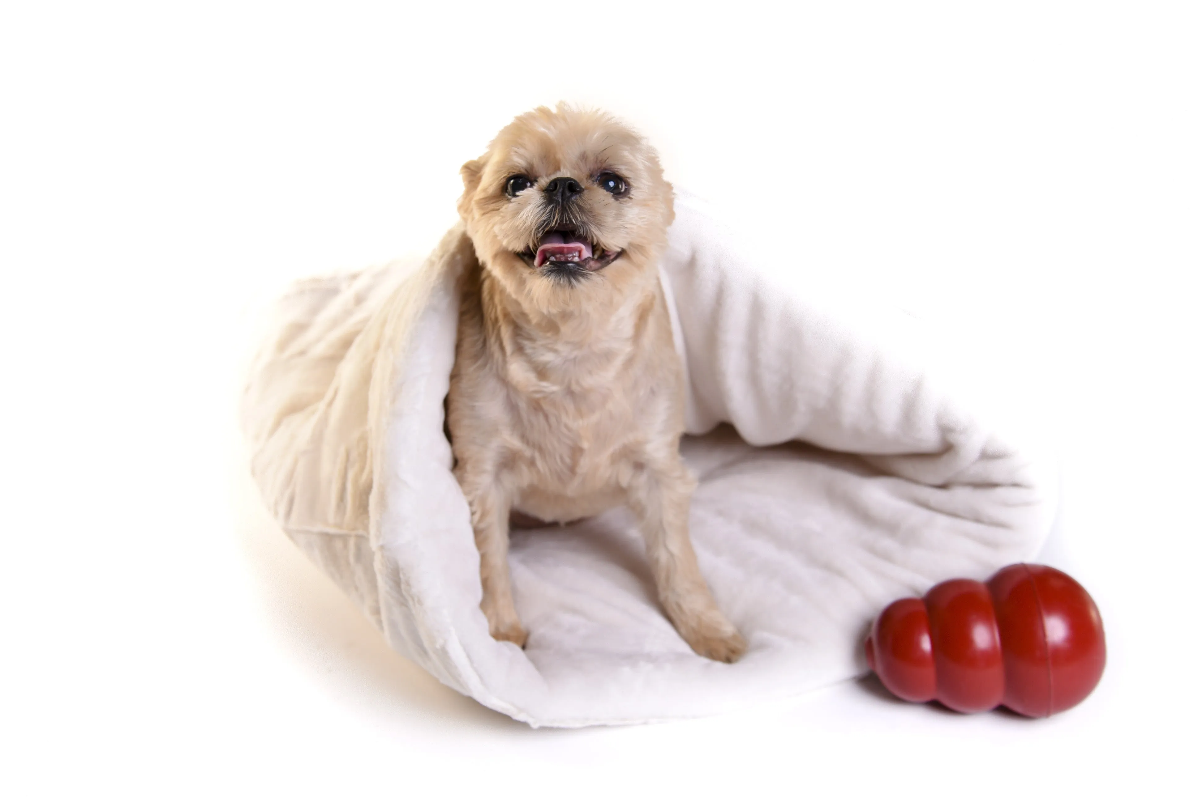 Dog and Cat cozy - Cream