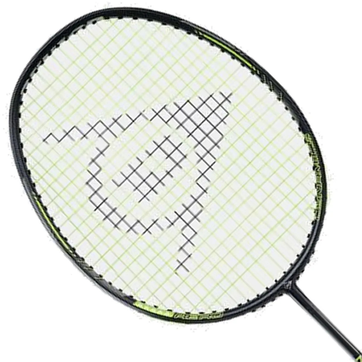 Dunlop Nitro Star FS-1000 Badminton Racket - Black