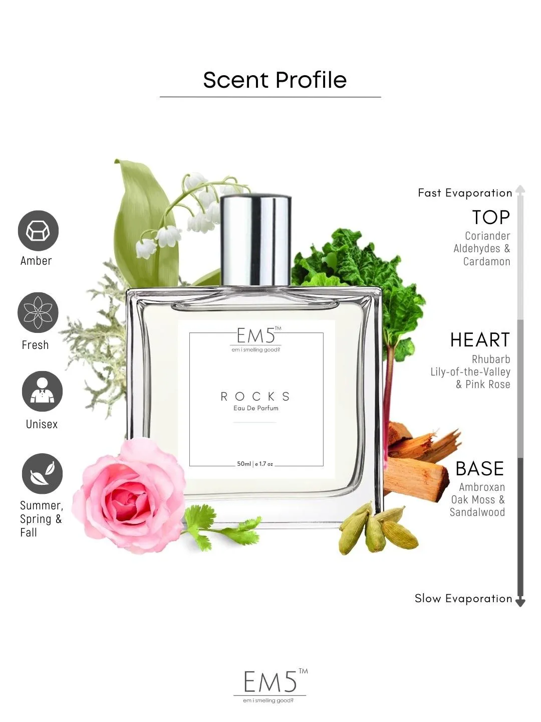 EM5™ Rocks Unisex Perfume EDP Spray for Men & Women | Aromatic Amber Warm Spicy Fragrance | Luxury Gift for Him / Her | Variants Available: 50 ml Spray / 15 ml Spray