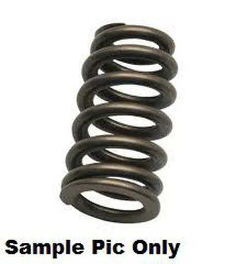 EXHAUST VALVE SPRING PSYCHIC HEAVYDUTY MADE FROM ALLOY MACHINED HEAT TREATED DURABLE CRF450R 09-20