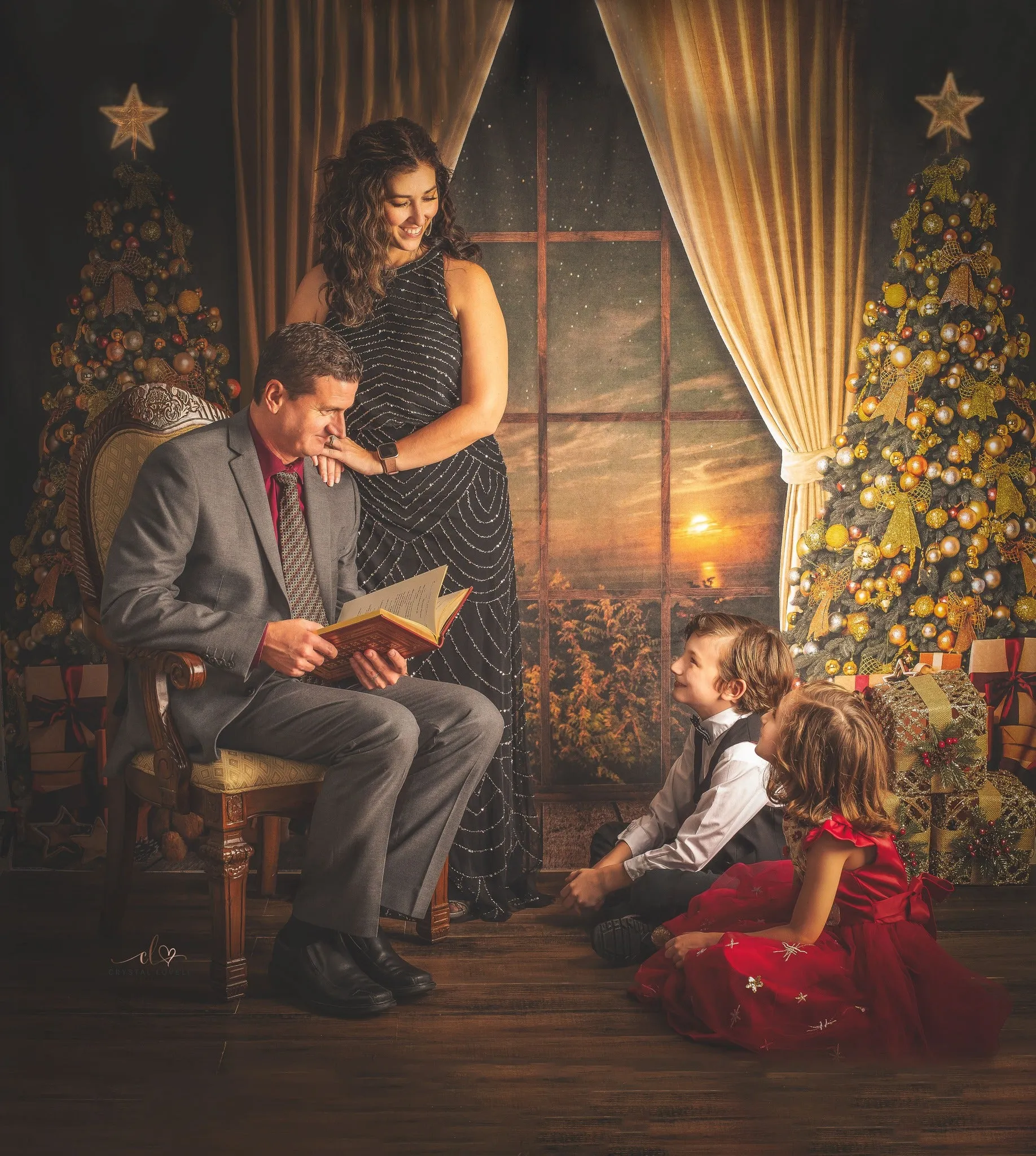 Kate Warm Christmas Trees Window Backdrop for Photography