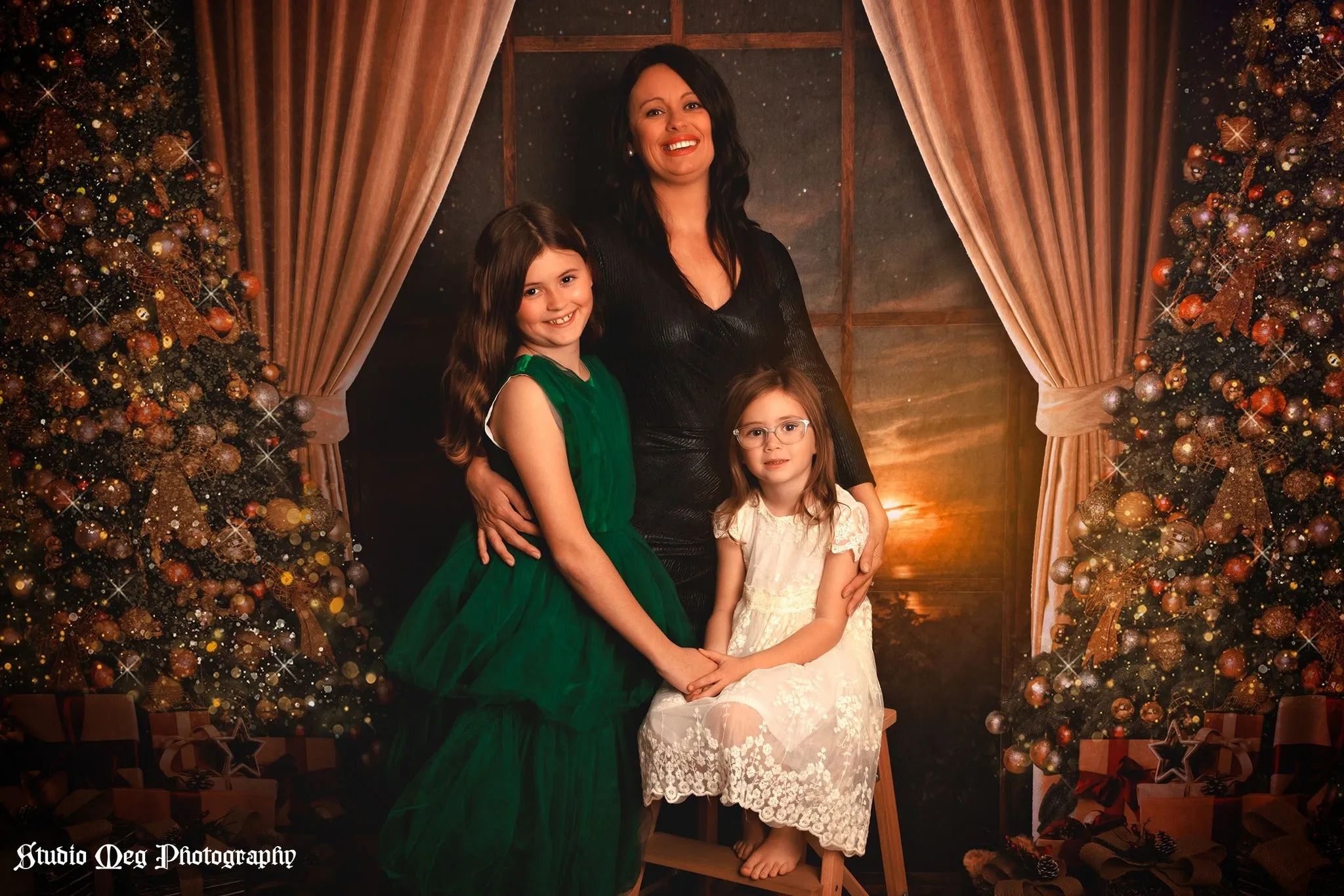 Kate Warm Christmas Trees Window Backdrop for Photography