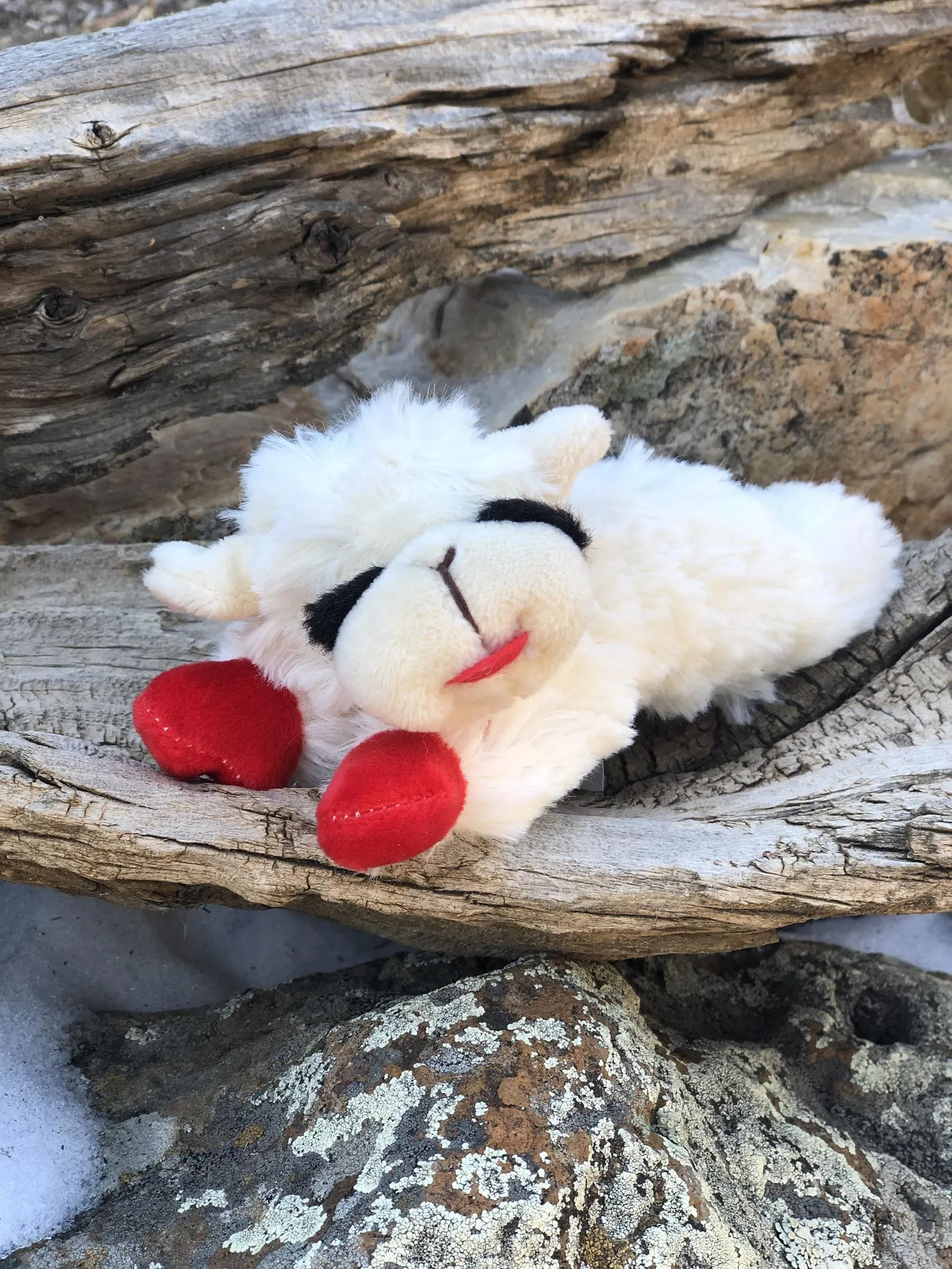 Lambchop Dog Toy