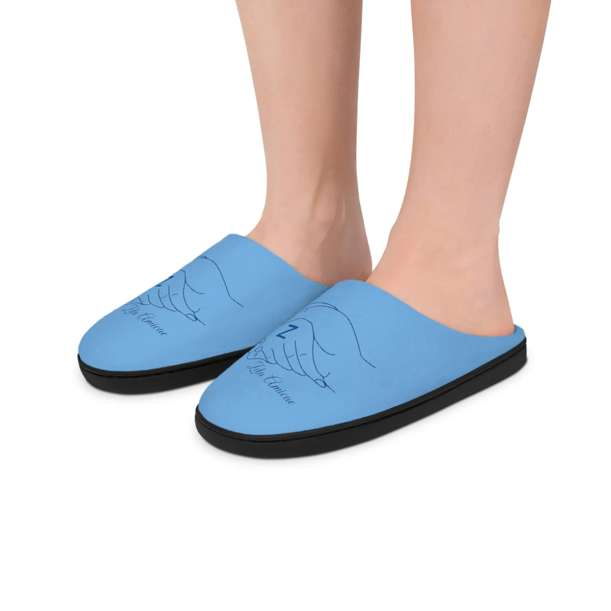 Slippers ~ Zeta Amicae Indoor