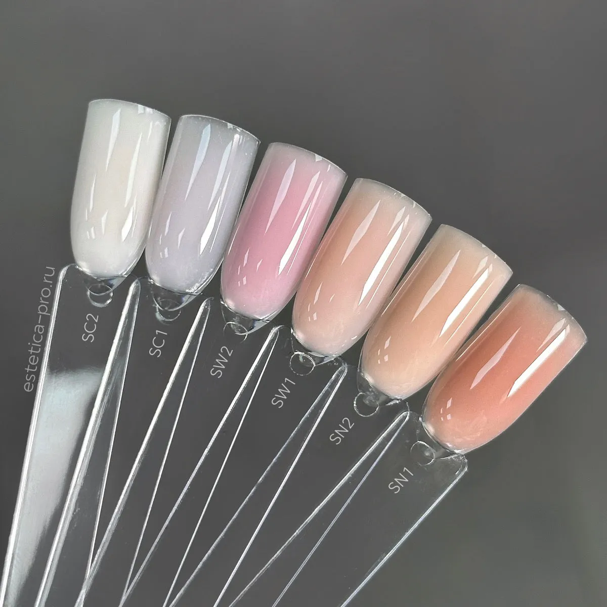 SW1 Trinity Shades Warm