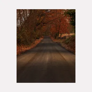 Take Me Home