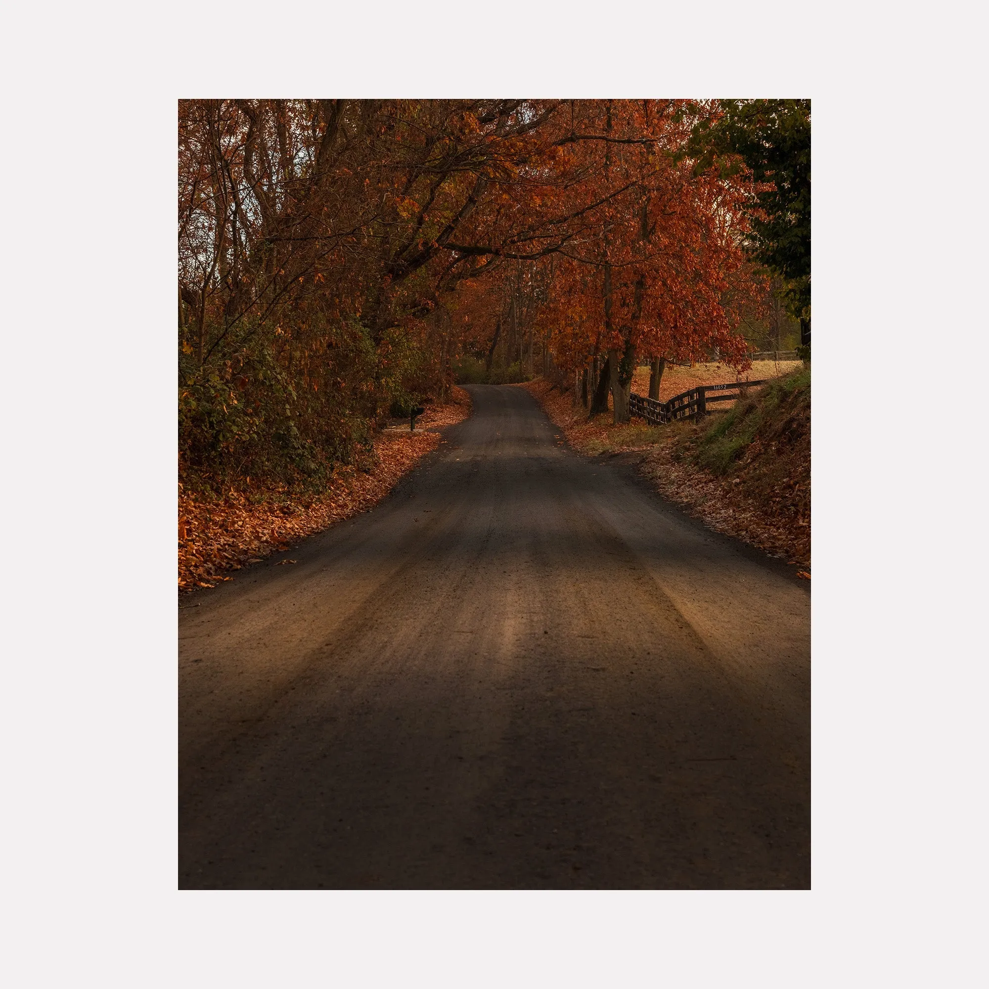 Take Me Home