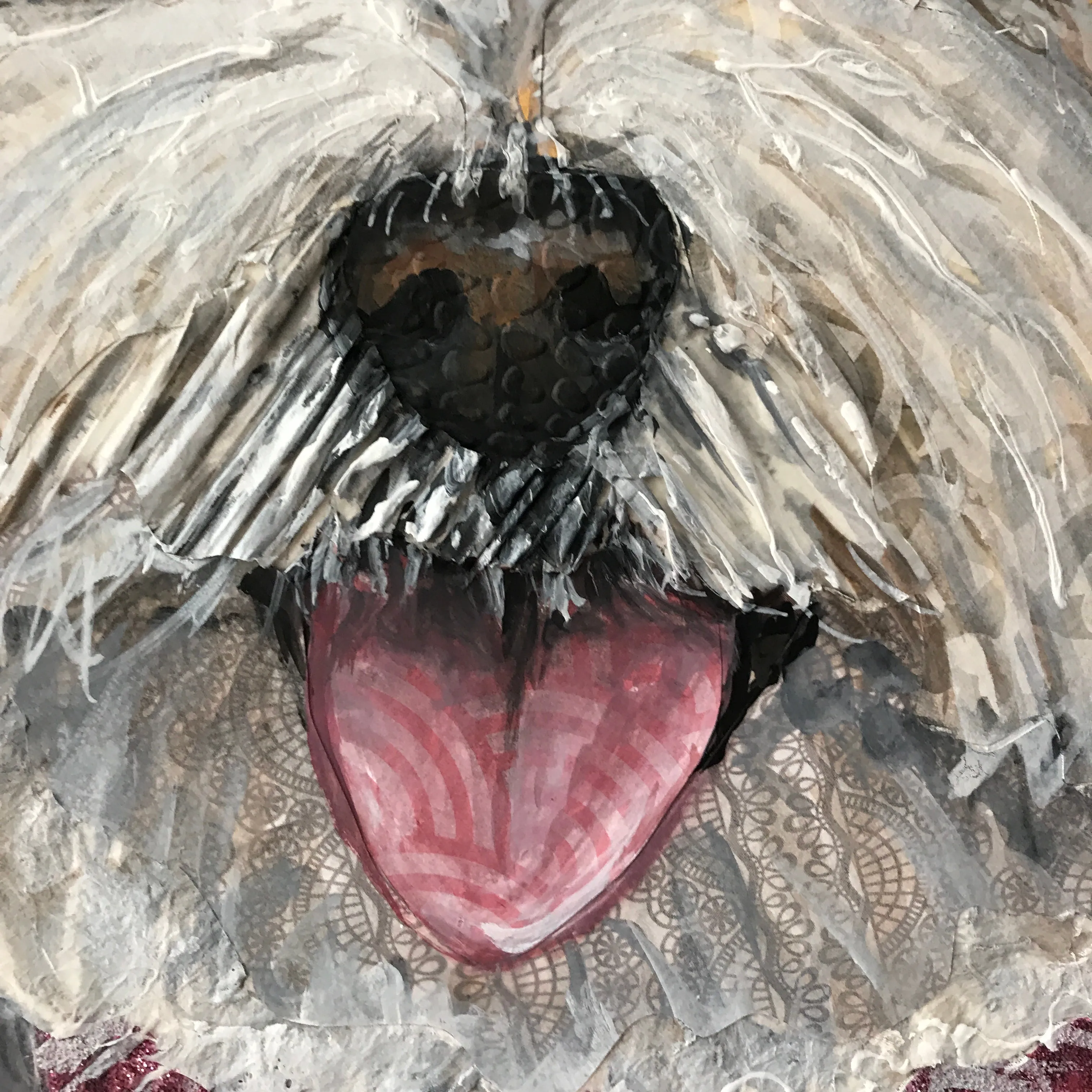 Tina - Maltese