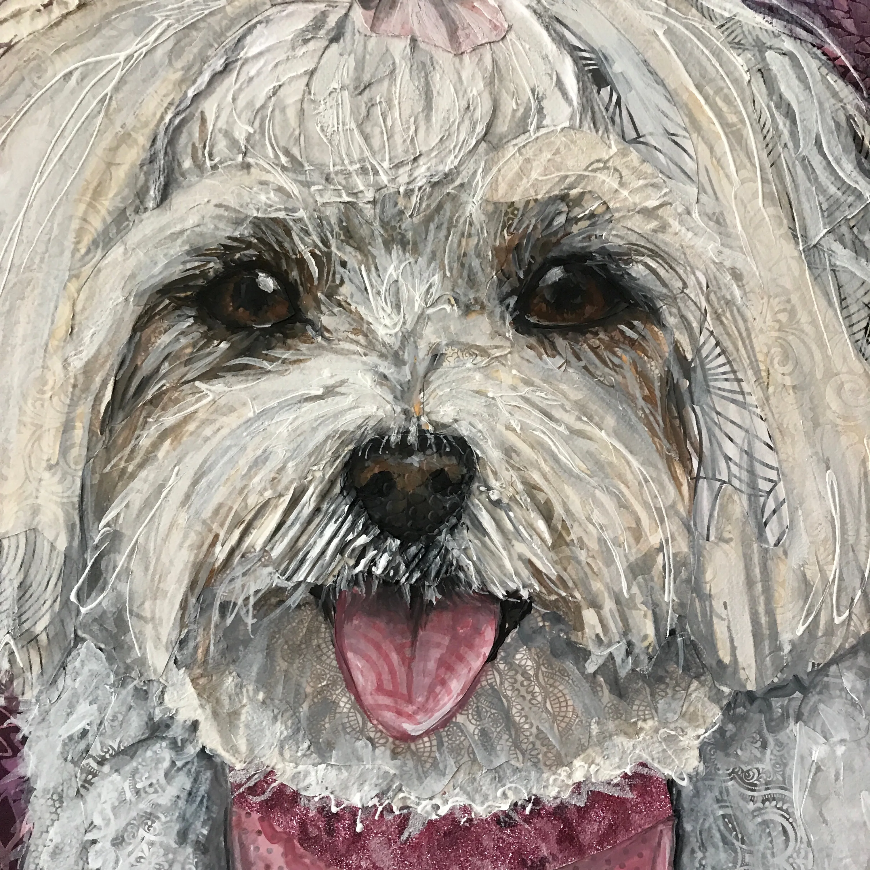Tina - Maltese