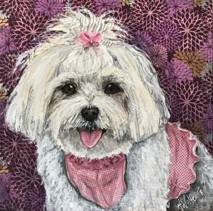 Tina - Maltese